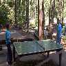 pong.jpg (40176 bytes)